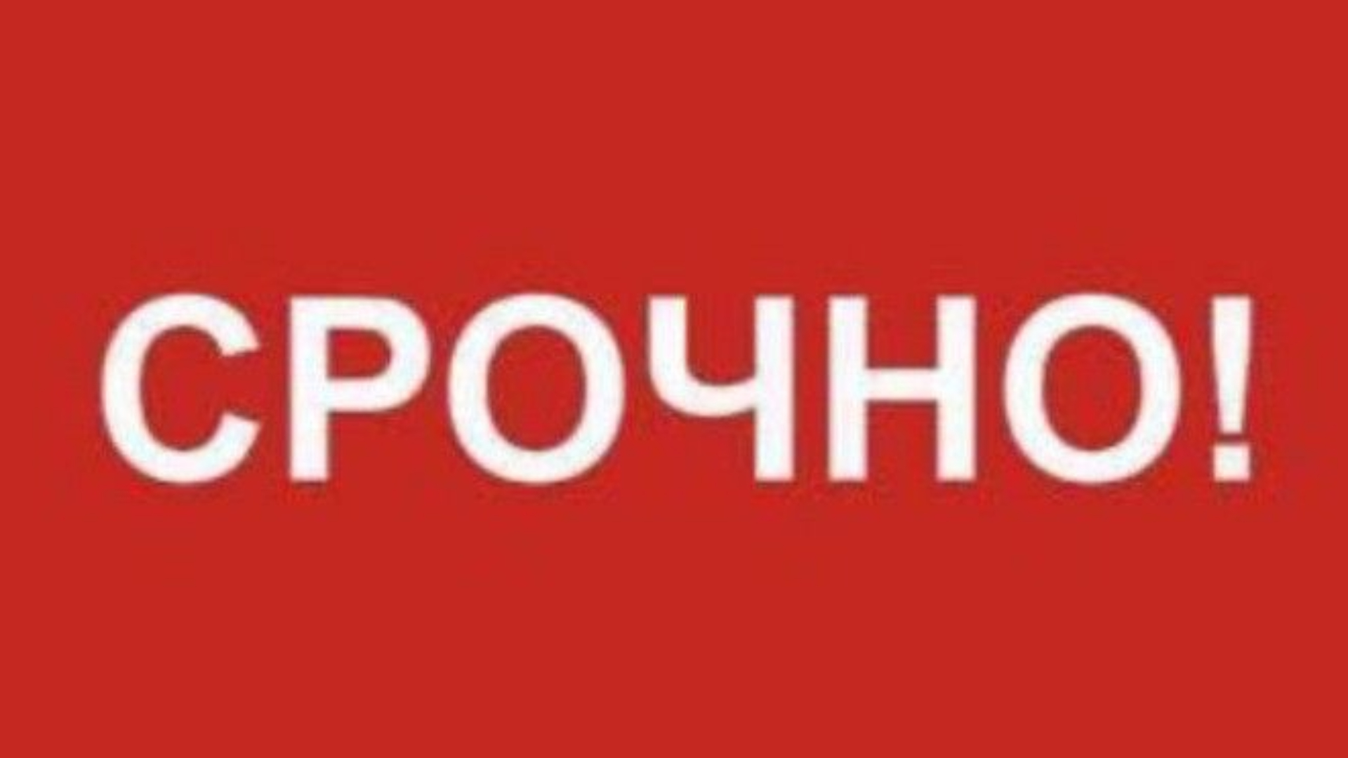 Написание текстов для сайта компании: рефераты, статьи, конспекты