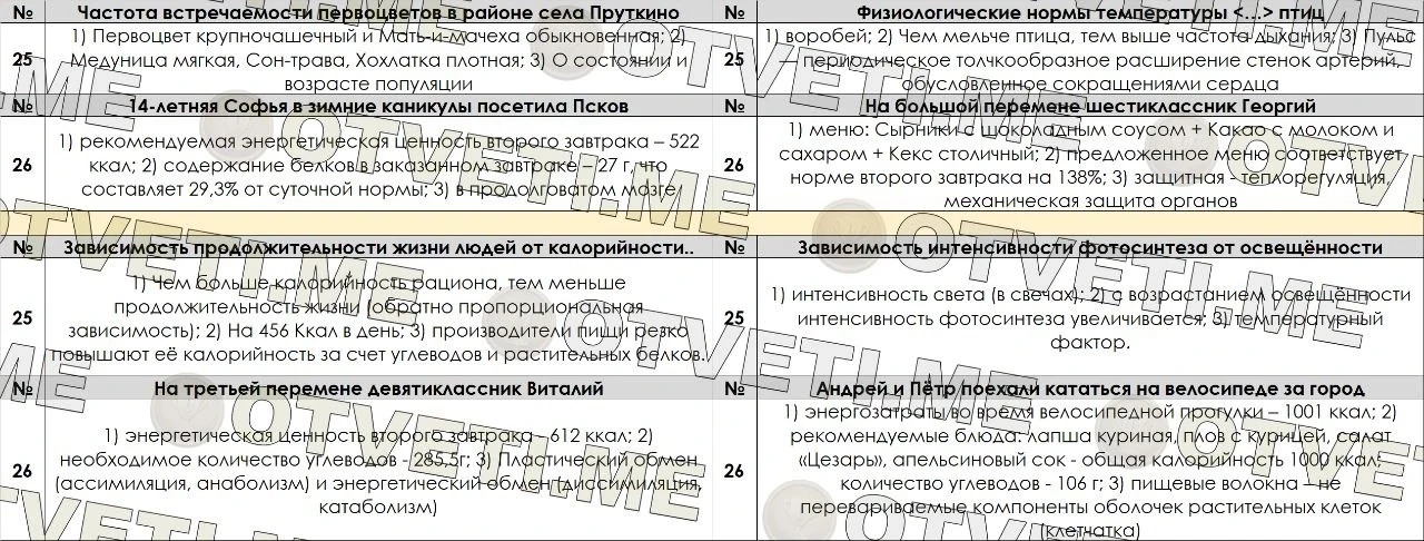 Создам дизайн карточек товаров и визуальные материалы под задачи бизнеса