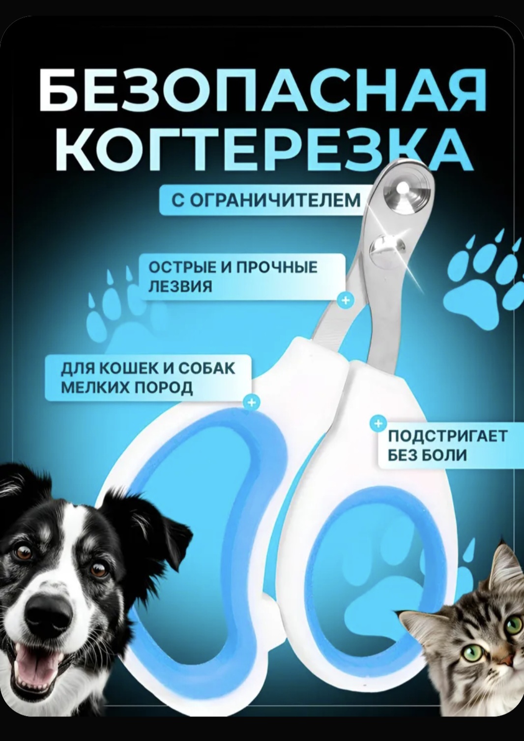 Создам анимированные карточки товаров для маркетплейсов