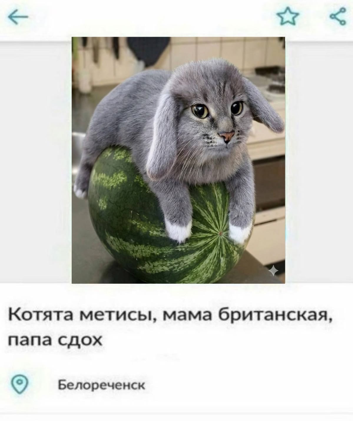 Создам дизайн интерьера и планировку с визуальными решениями