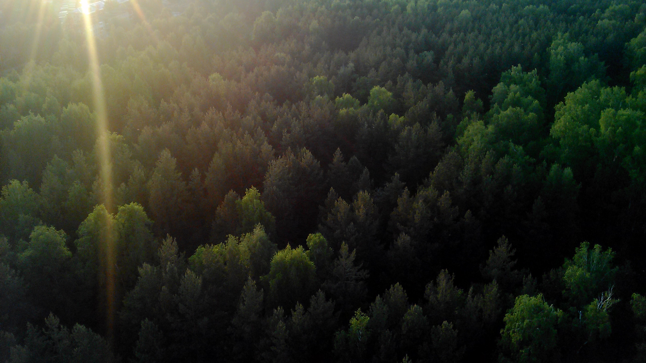 Разработаю быстрый бэкенд для сайта или приложения — Дмитрий Цыбин на FreelanceSpace