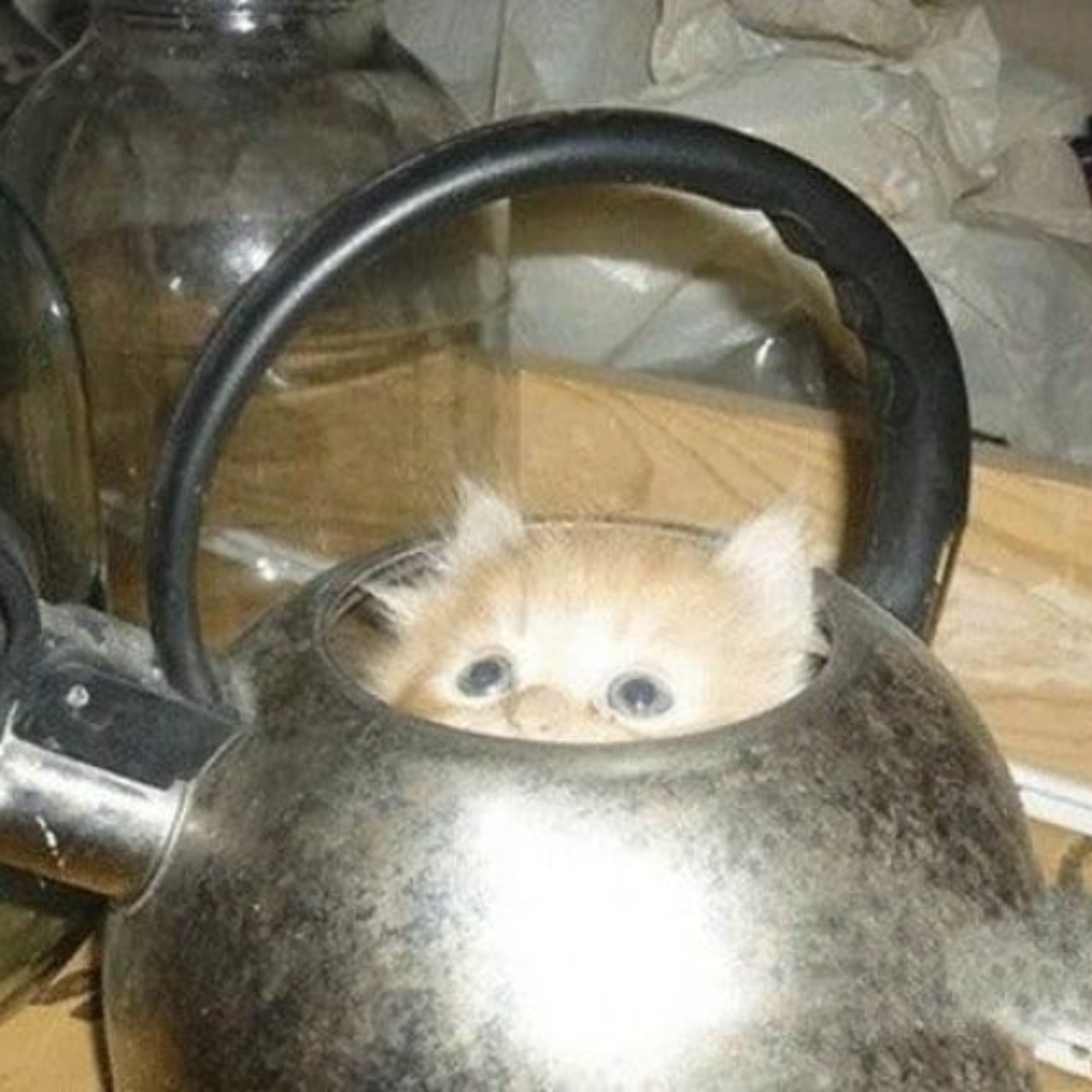 Пентест (кастомный)