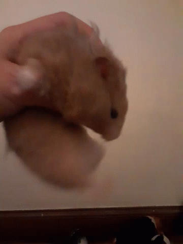 Фото: Артём