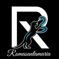 роман