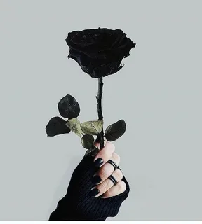 Аватар: Макар