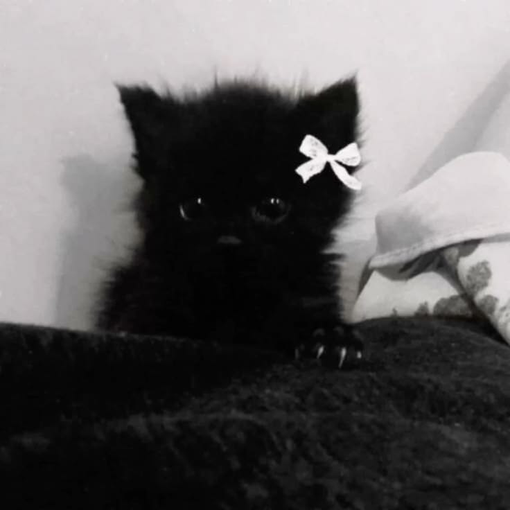Максим Сергеевич