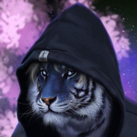 StealthSochi
