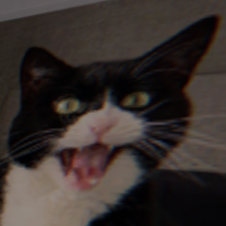 Amibka
