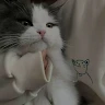 Yto