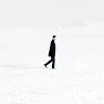 Башир Д