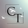 Силуэт тишины