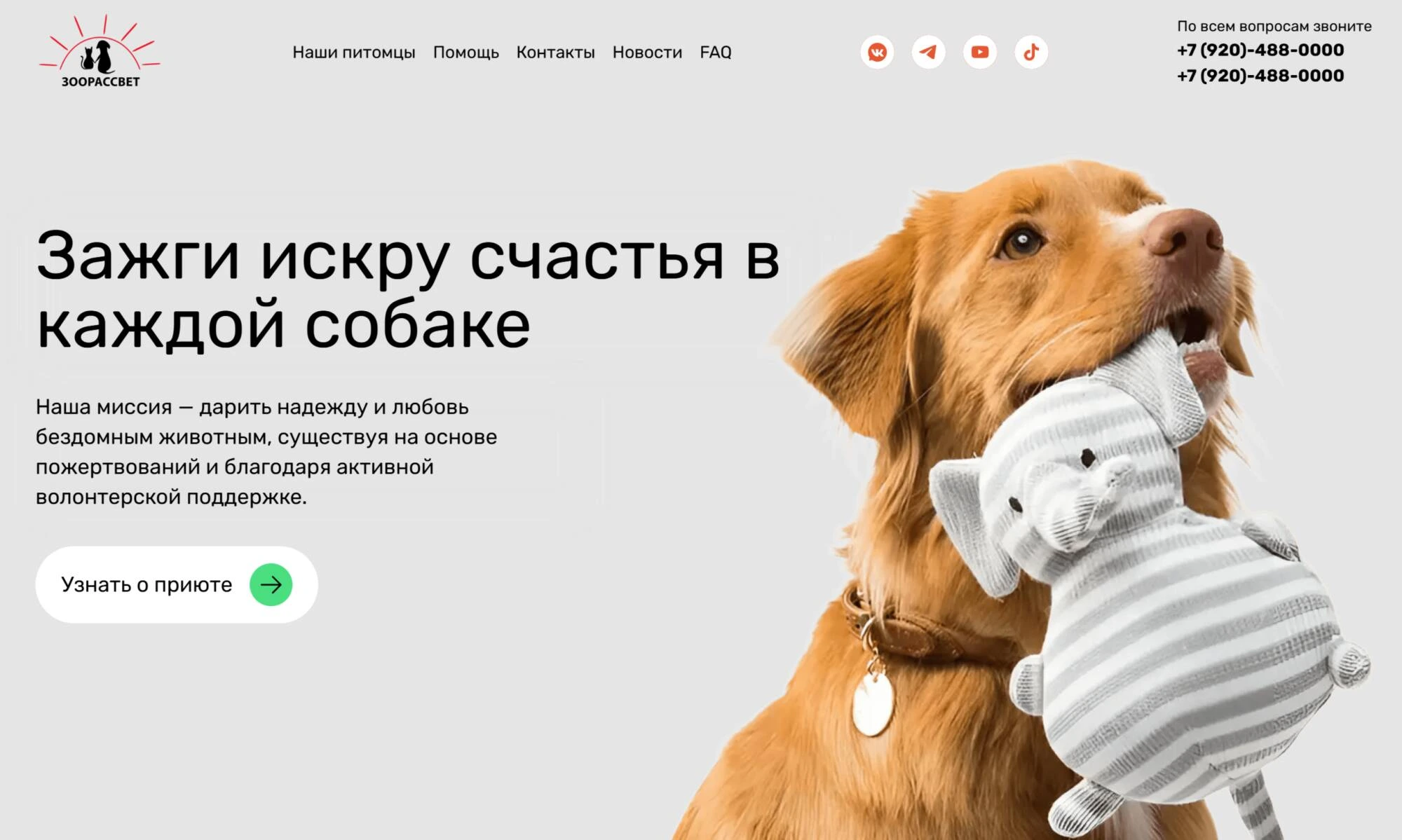 Миниатюра 6