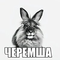 Аватар: Ксения Юрченко