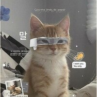 Кошачья Мята