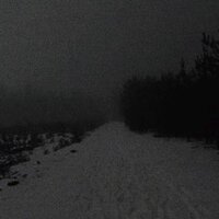 тома сорокина