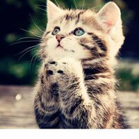 Аватар: Александр Котерев