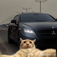 Аватар: Булат Низамов