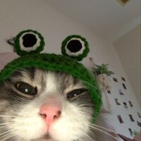 Аватар: Даниил Кузнецов