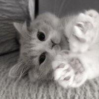Артем Клочков