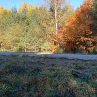 Аватар: Илья Хаванский
