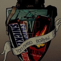 Денис Литвинов