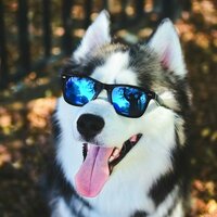 Аватар: Илья Буравцов