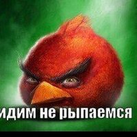 Илья Баранов